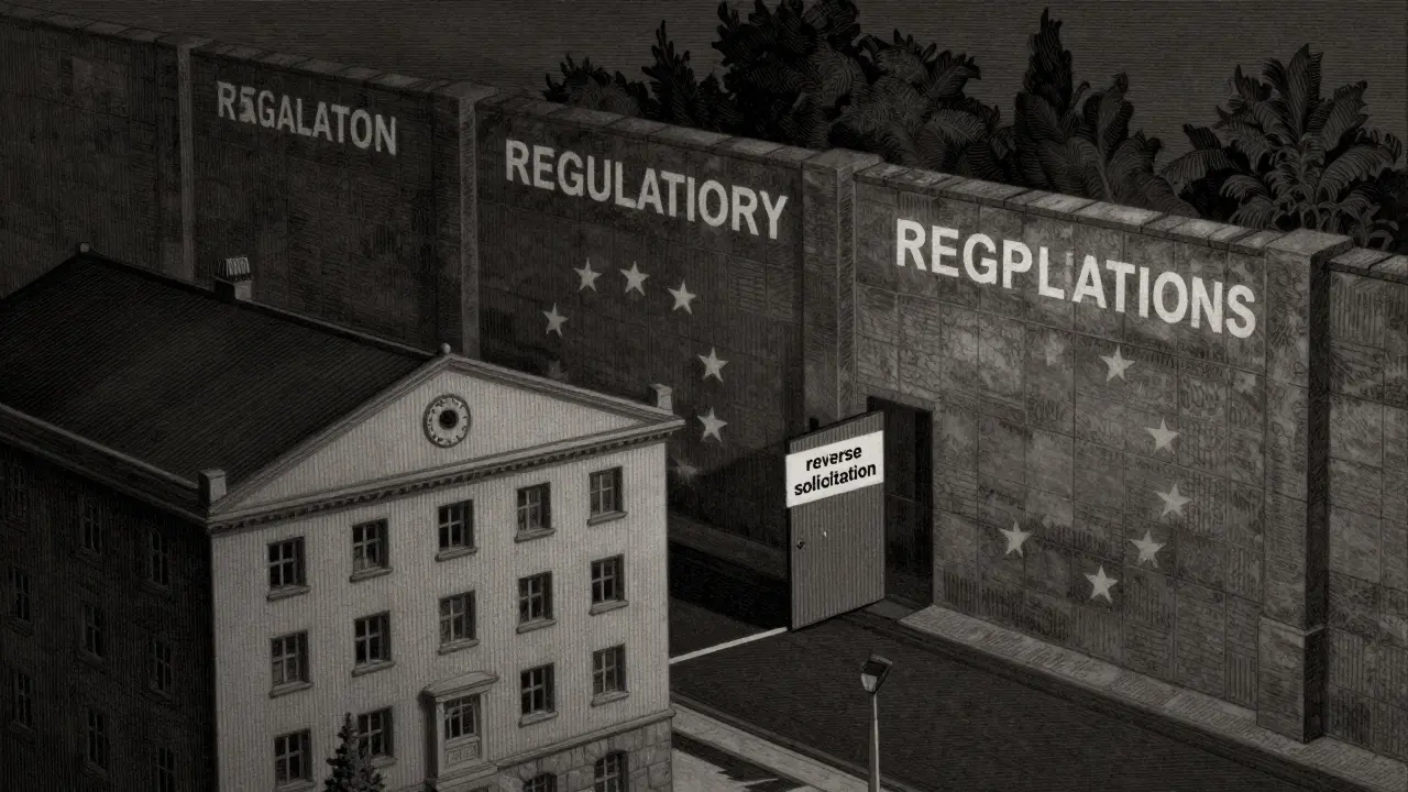 Etching of a non-EU firm blocked by a wall, needing a local EU subsidiary to enter.